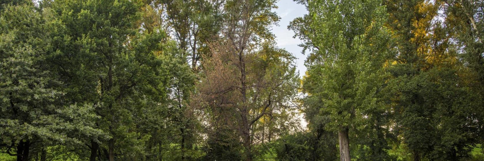 Golf du Touquet-Paris-Plage